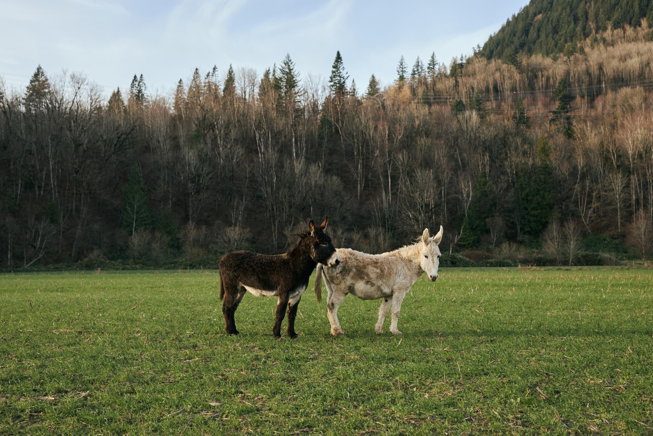 Why Canada, Why now - Climate Pressure Why Canada, Why now - Climate Pressure