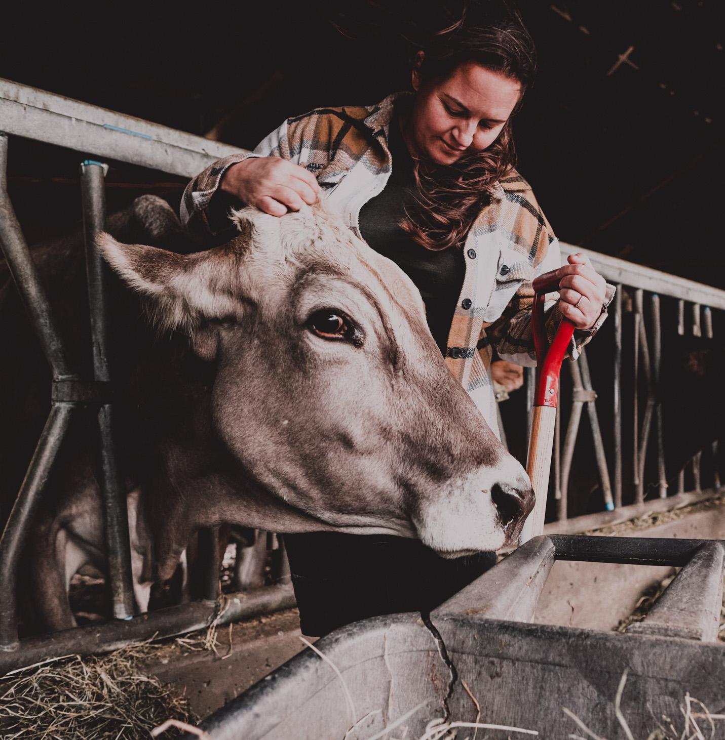 Why Canada. Why Now. Why Canada. Why Now.