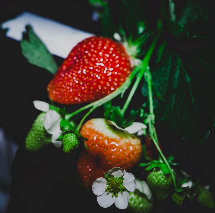 Share why Canadian food matters to you - Strawberries Share why Canadian food matters to you - Strawberries